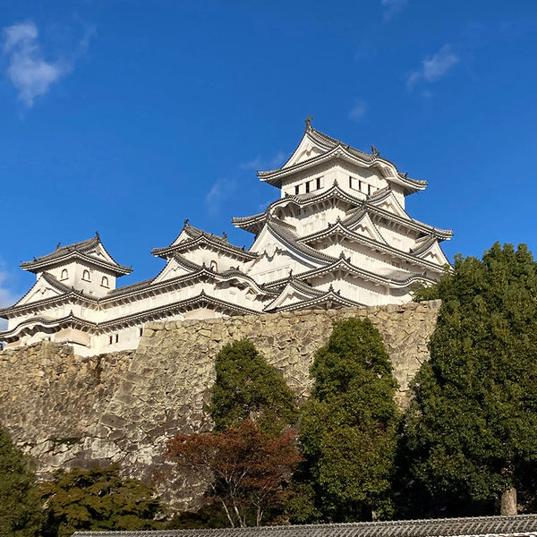 【予約済：ろろろ】鐔 笠に杖図「平安城象嵌」 鐔 無銘 平安城象嵌 花唐草図 / Tsuba Mumei Heianjozogan - 勝武堂